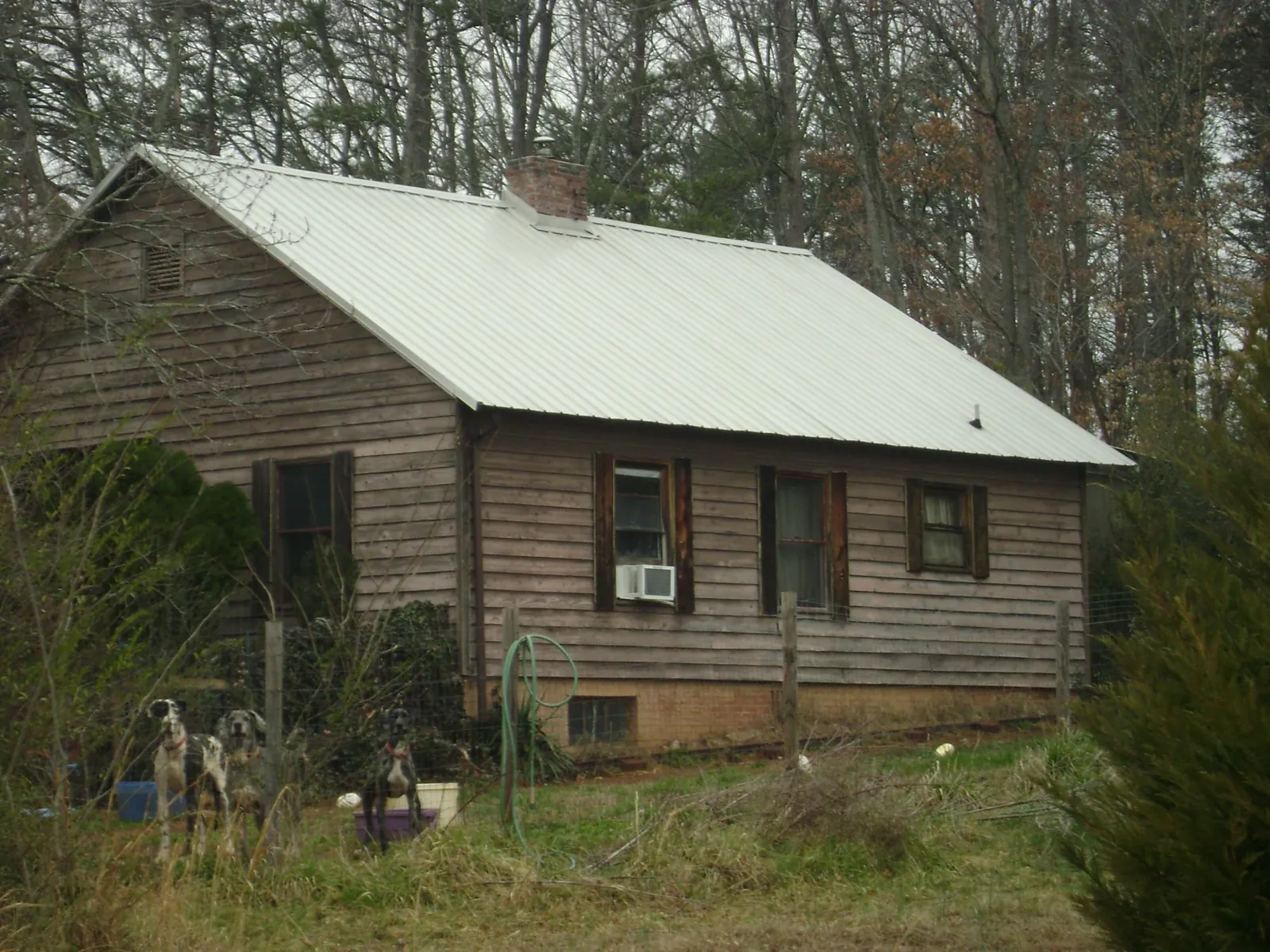 White metal roof on an old wood sided farmhouse, from a Asphalt Shingle Roof Repair job in Martins Ferry